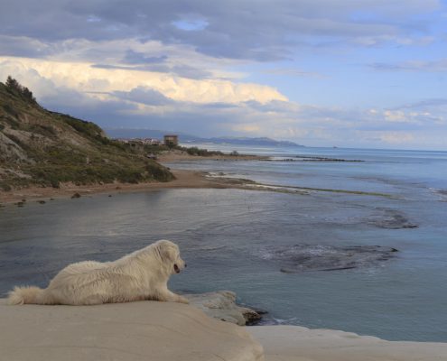 La pace della scala dei turchi