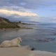 La pace della scala dei turchi